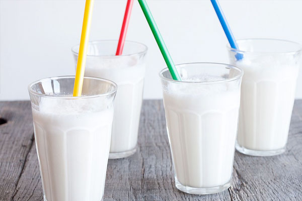 Sugar Free Vanilla Guilt Free Milkshake