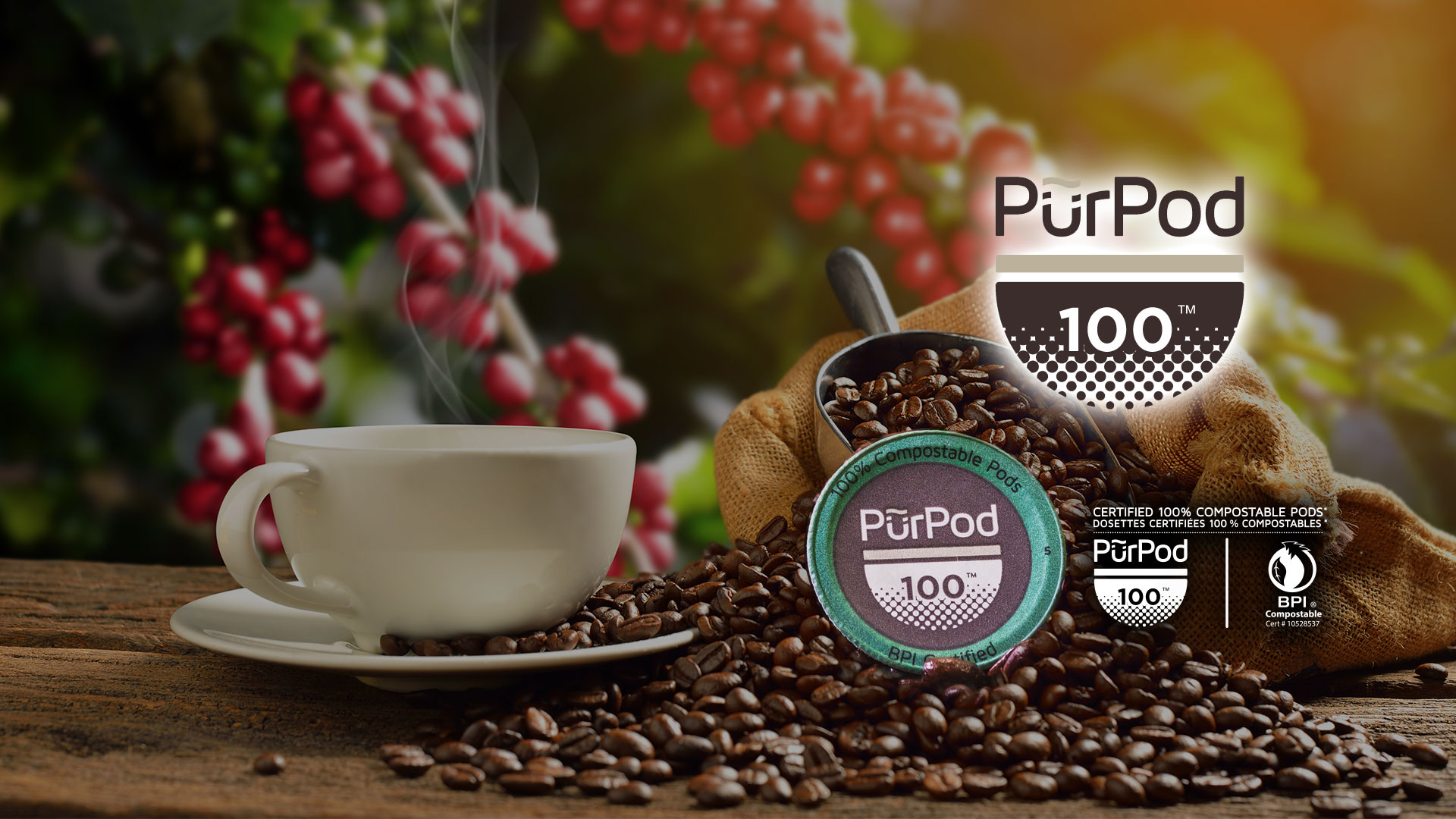 Pur Pod