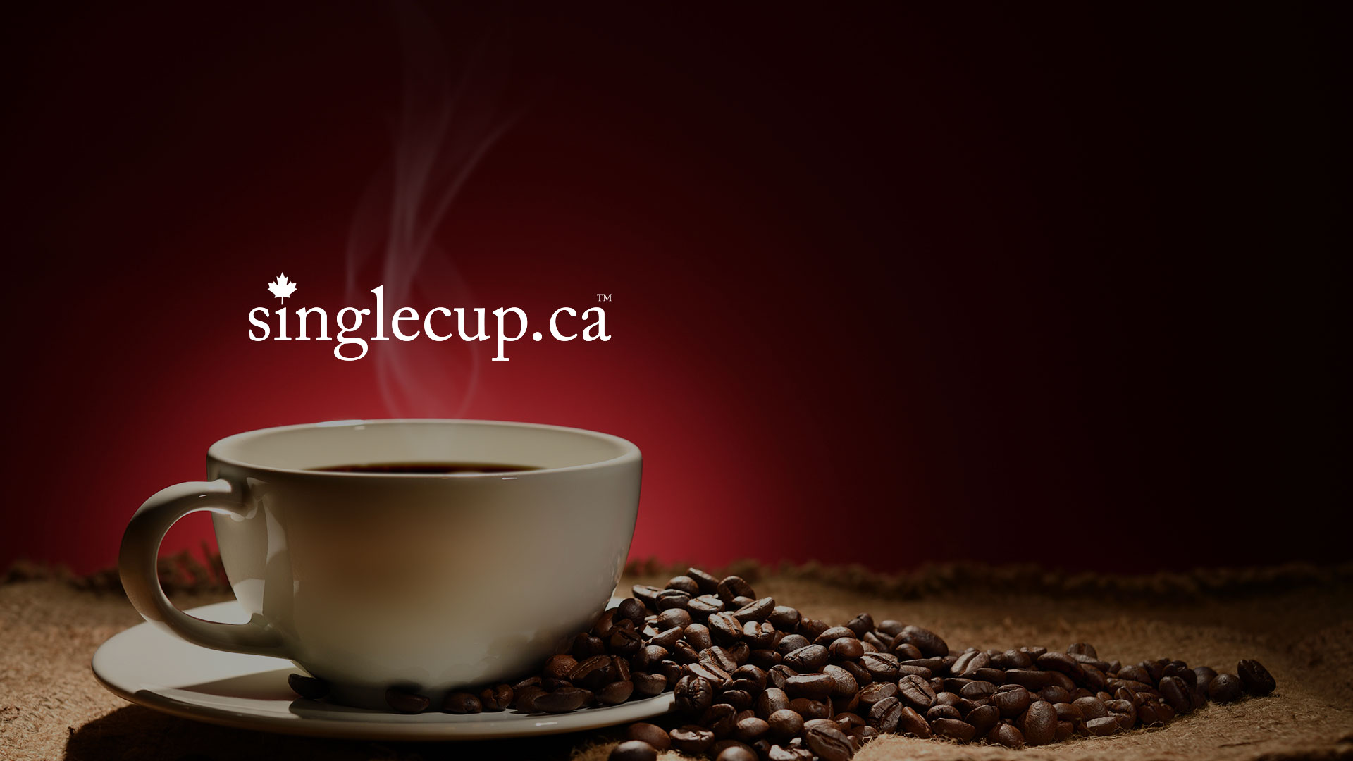 The best cup each time